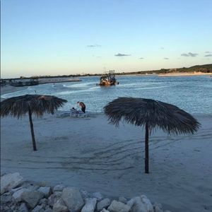 Meet your Posher, Dawn